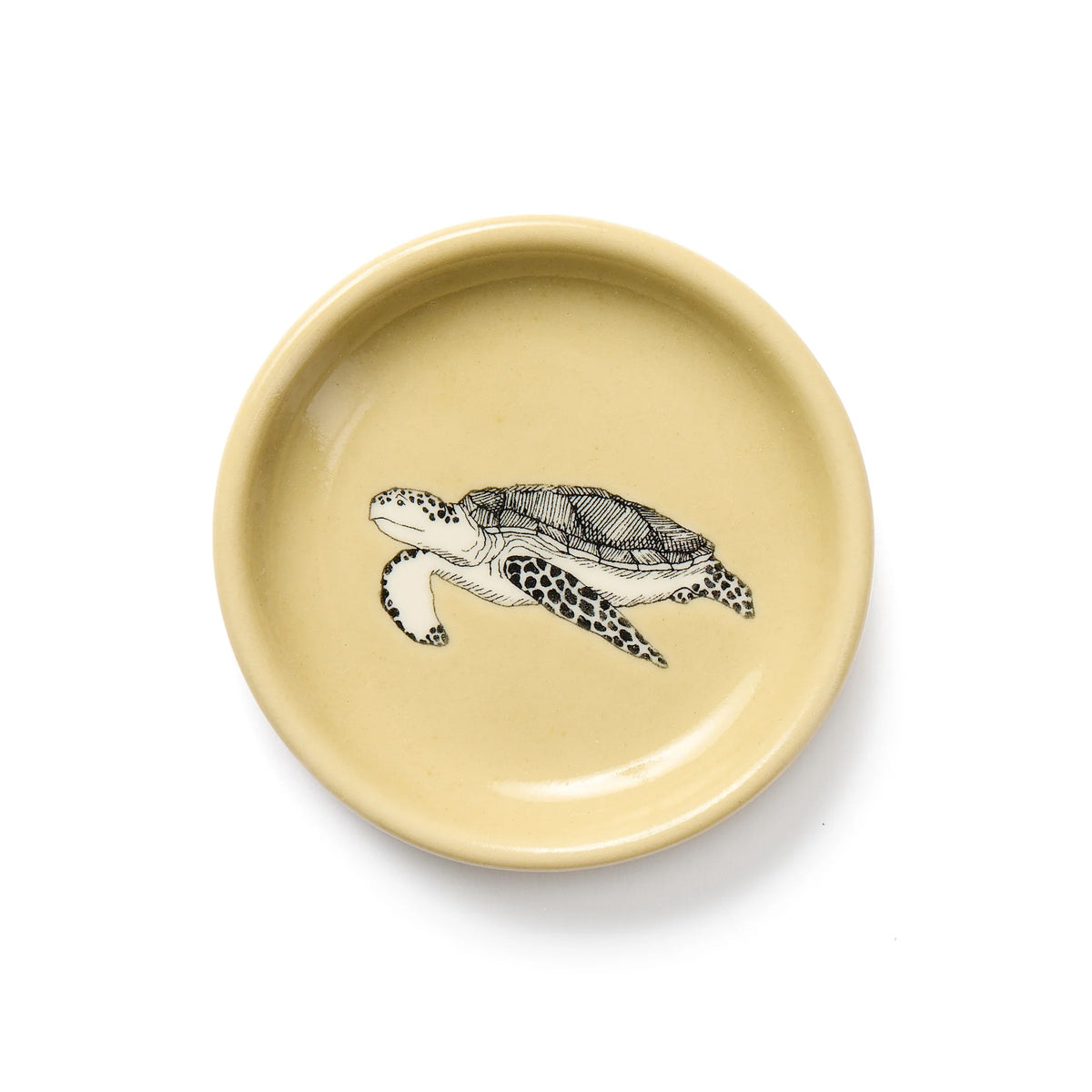 Citron Tortue de mer Tout plat