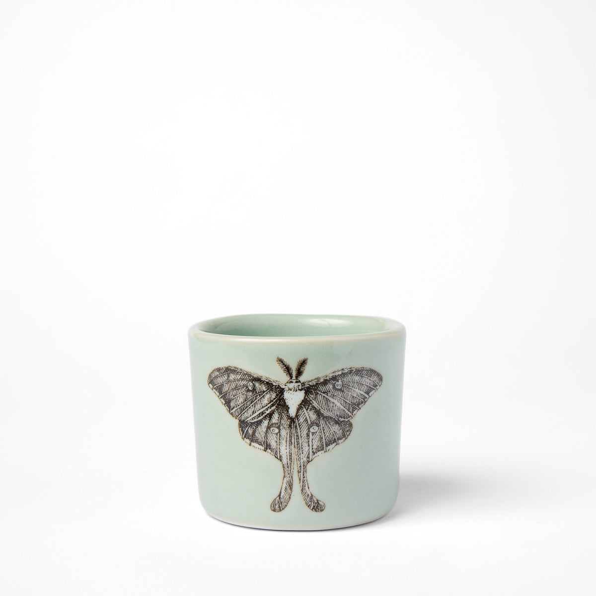Petite Tasse Colibri Céladon